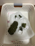 Epidote crystal bundle164