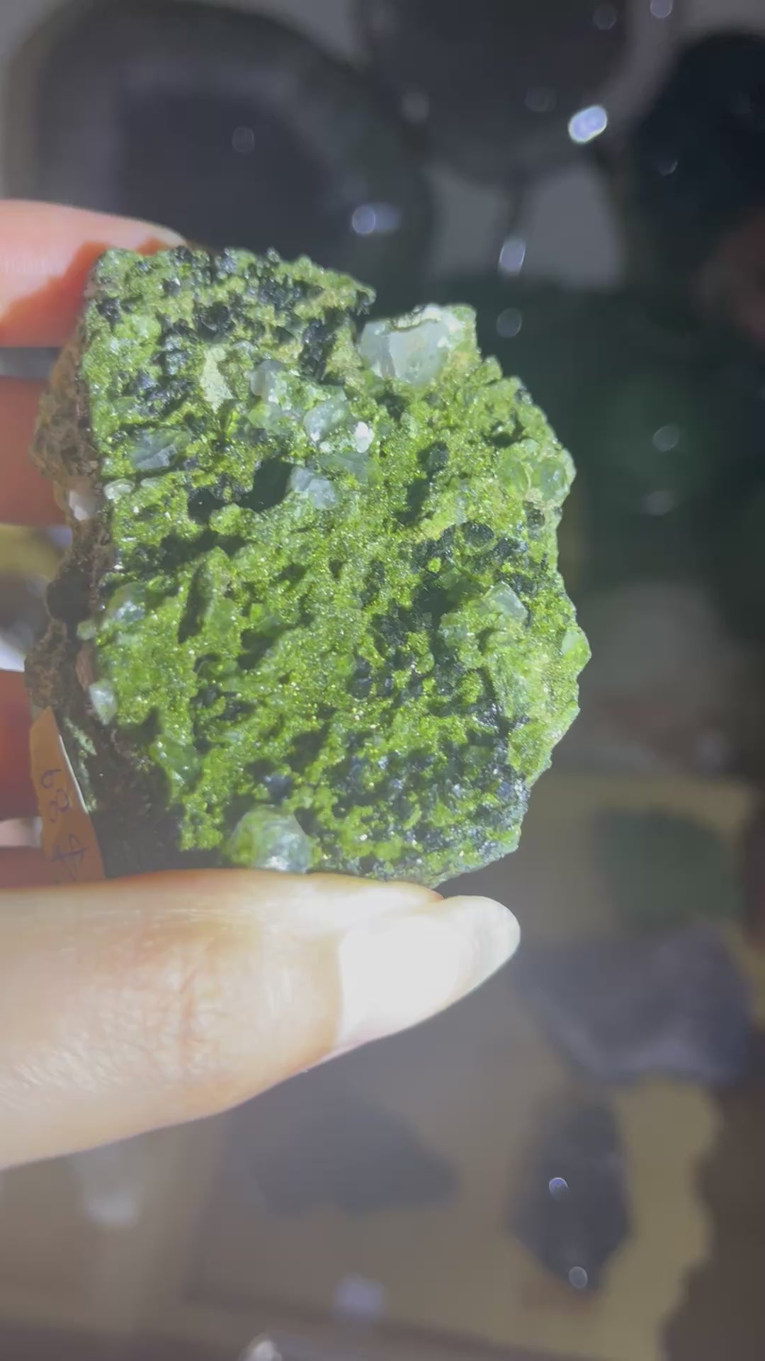Epidote Cluster with Dark Sparkly Crystals & Clear Quartz | Turkey Raw Mineral Specimen